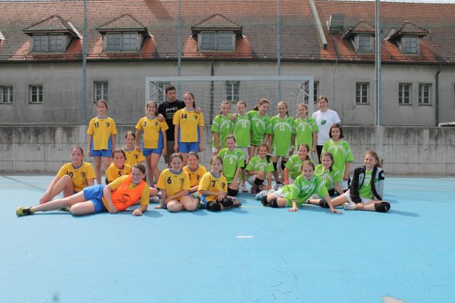 Zakljucek_Strazisce_2016_2017