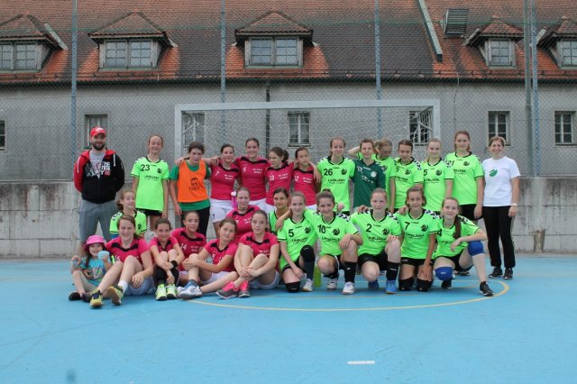 Zakljucek_Strazisce_2016_2017